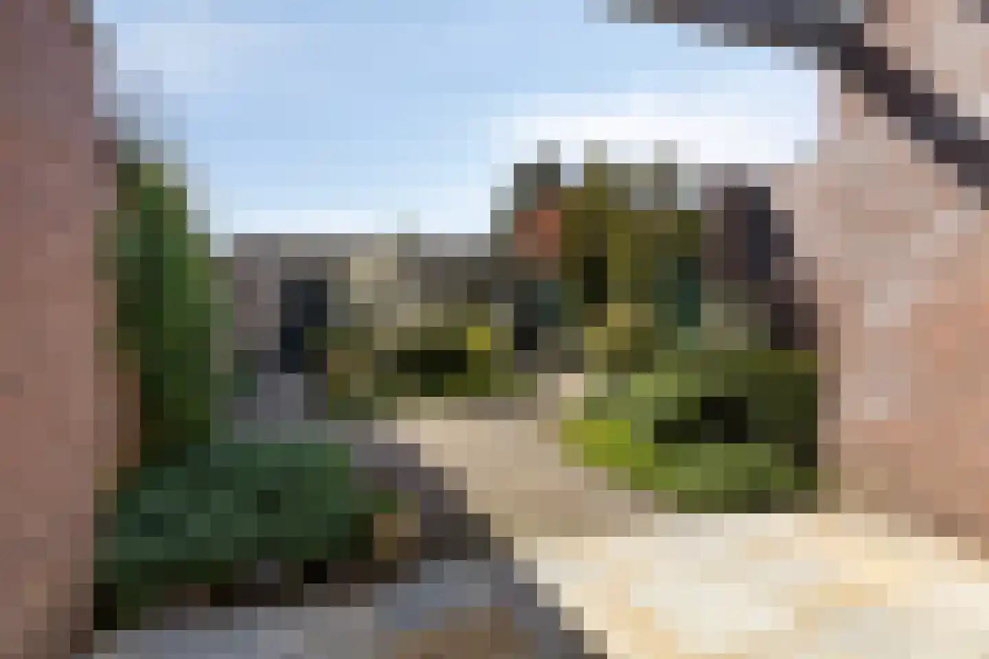 Lokbossen 104 Reusel thumbnail 35