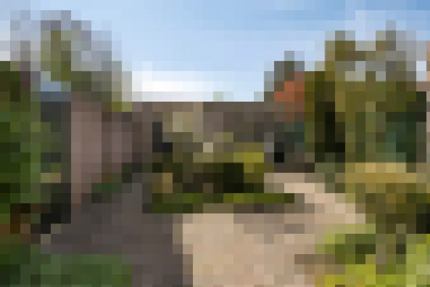 Lokbossen 104 Reusel thumbnail 39