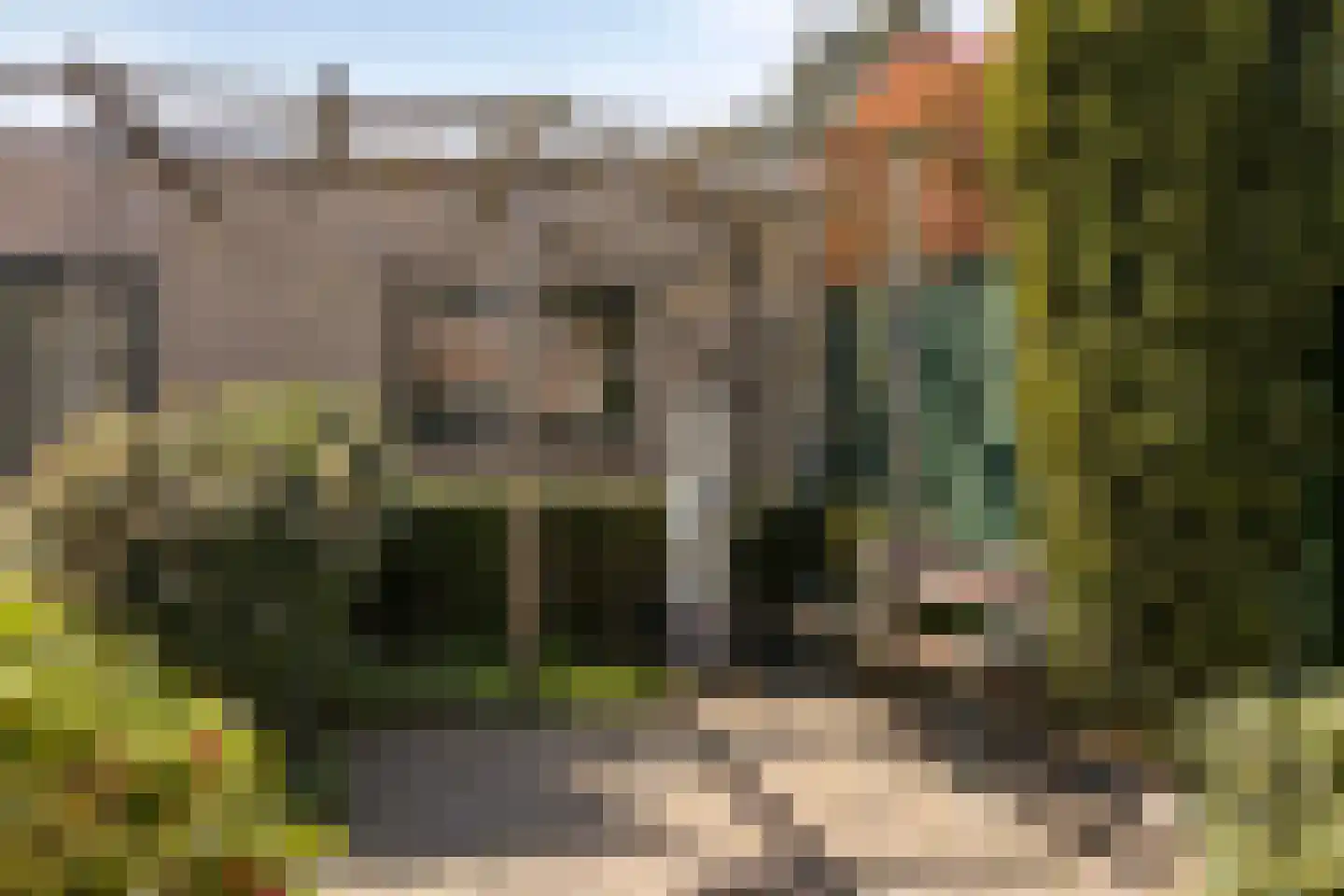 Lokbossen 104 Reusel thumbnail 40