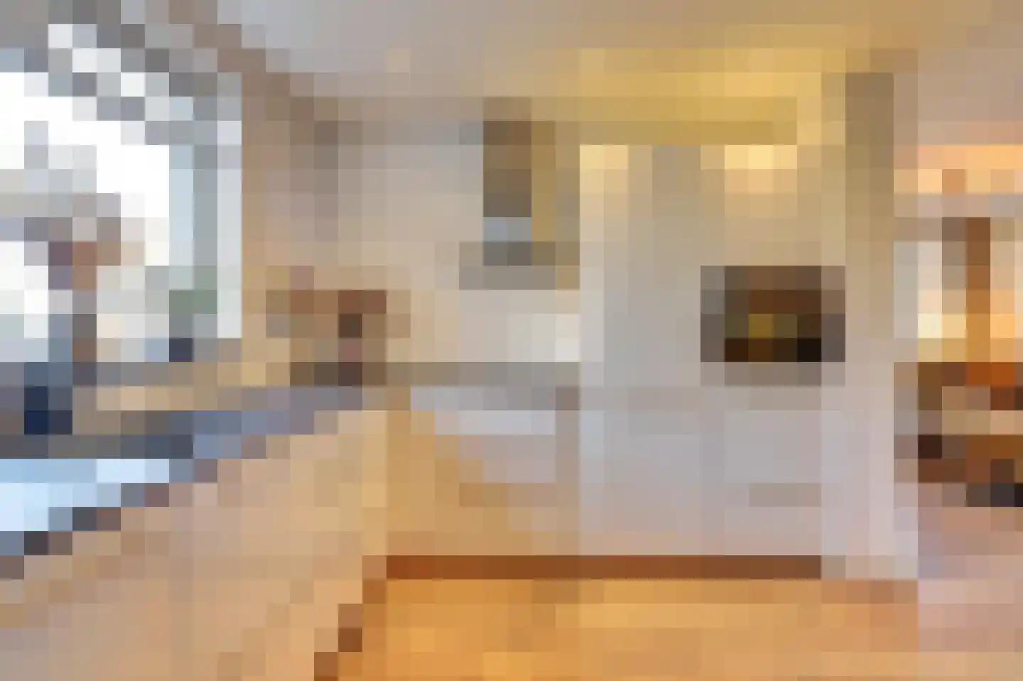 Lokbossen 15 Reusel thumbnail 17