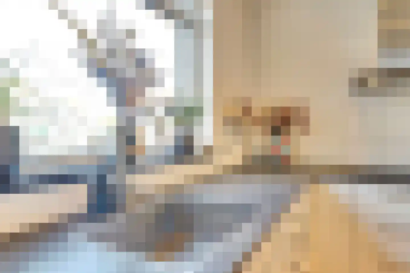 Lokbossen 15 Reusel thumbnail 18