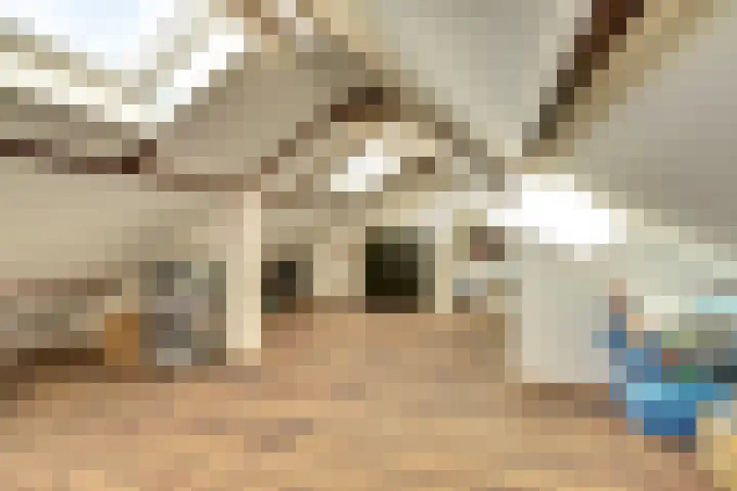 Lokbossen 15 Reusel thumbnail 32