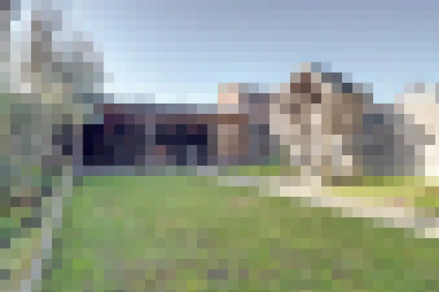 Lokbossen 15 Reusel thumbnail 34