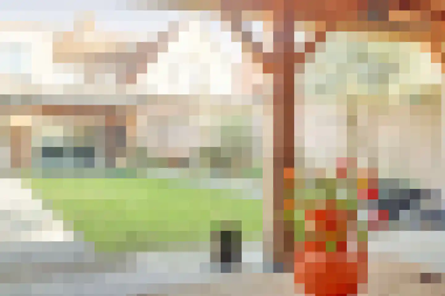 Lokbossen 15 Reusel thumbnail 38