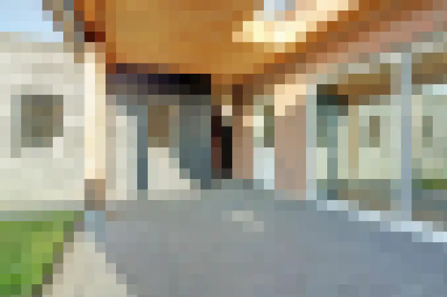 Lokbossen 15 Reusel thumbnail 41