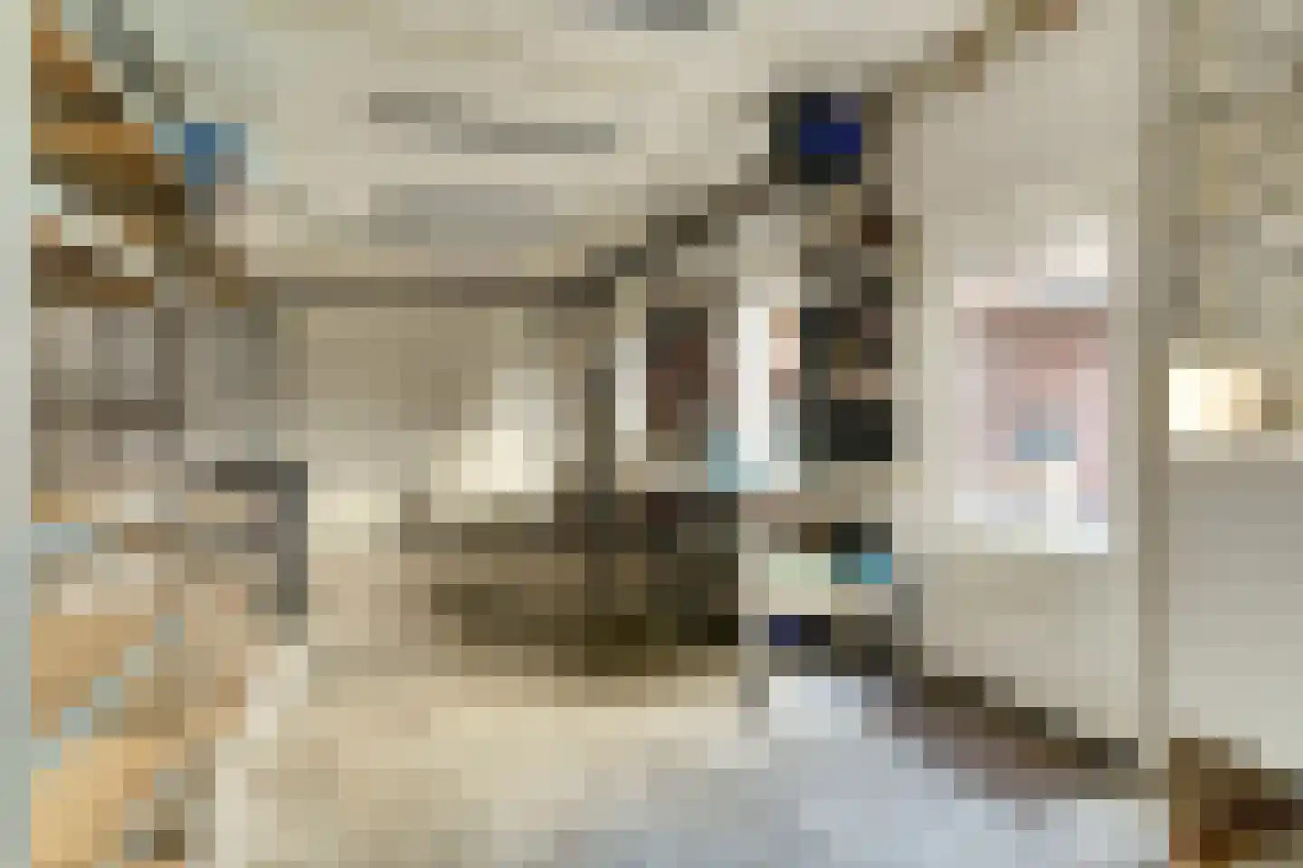 Lokbossen 15 Reusel thumbnail 42