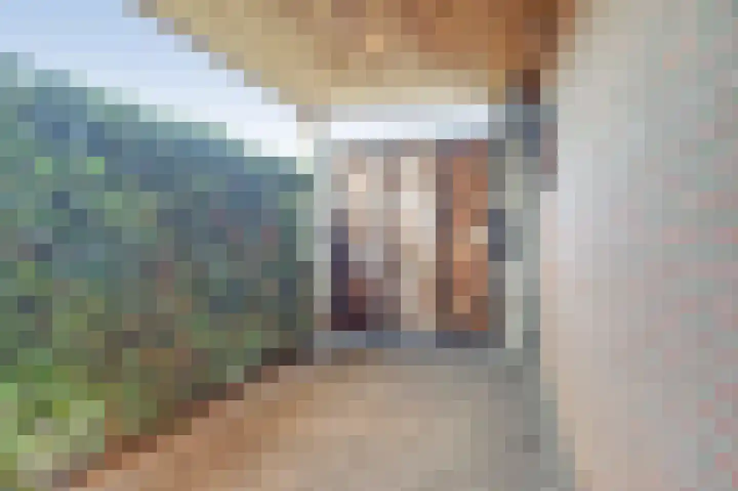 Lokbossen 15 Reusel thumbnail 45