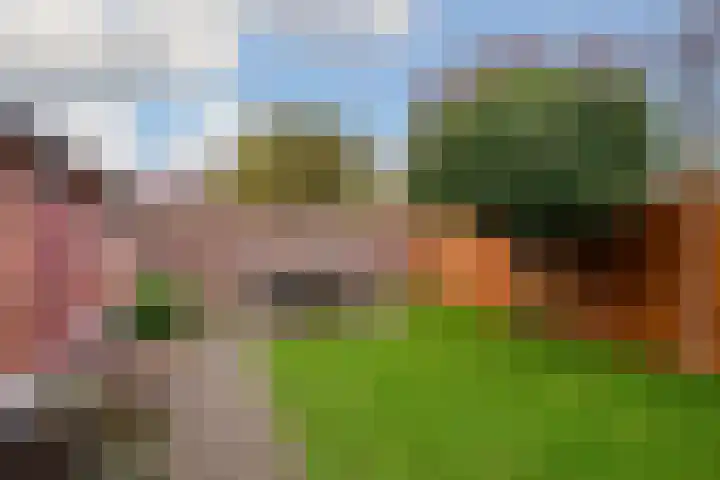 Lokbossen 38 Reusel thumbnail 14