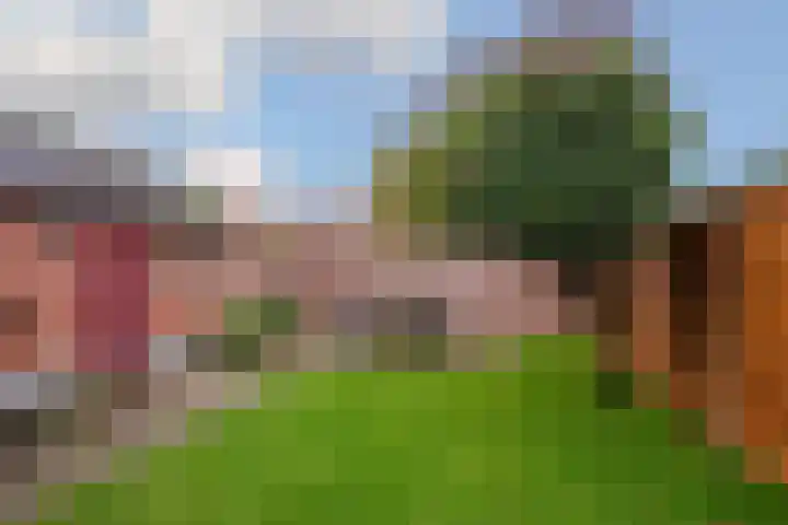 Lokbossen 38 Reusel thumbnail 18