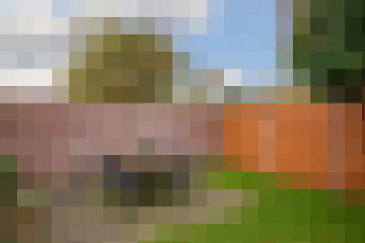 Lokbossen 38 Reusel thumbnail 19