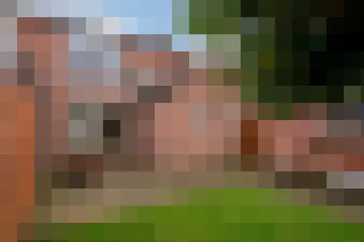 Lokbossen 38 Reusel thumbnail 20