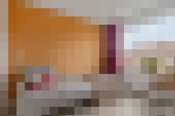 Lokbossen 38 Reusel thumbnail 23