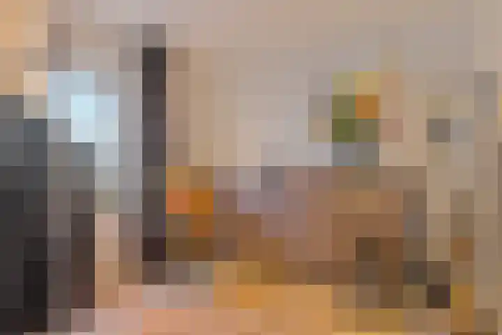 Lokbossen 38 Reusel thumbnail 25