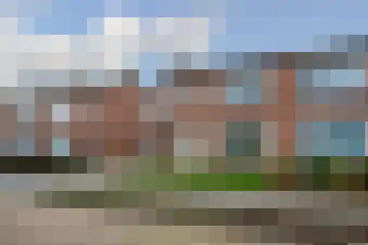 Lokbossen 38 Reusel thumbnail 31