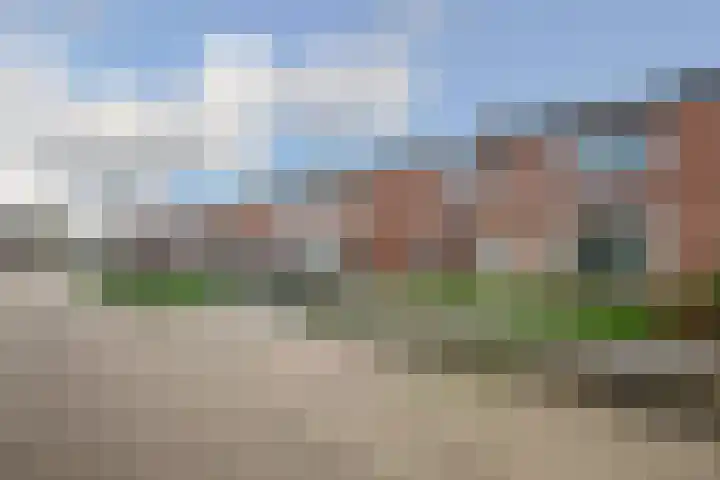 Lokbossen 38 Reusel thumbnail 32