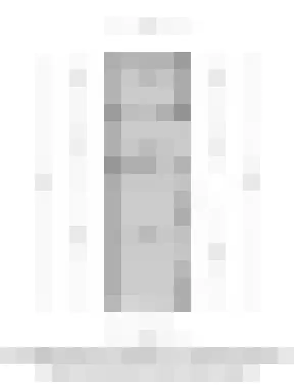 Lokbossen 38 Reusel thumbnail 36