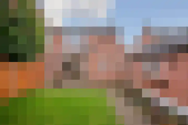 Lokbossen 38 Reusel thumbnail 4