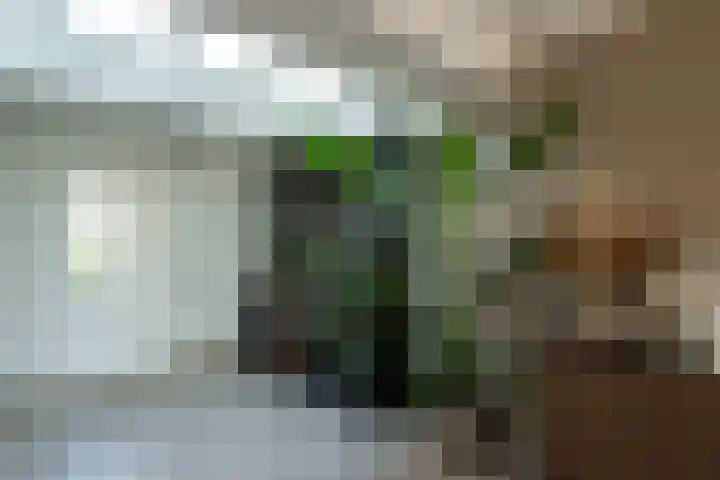 Lokbossen 46 Reusel thumbnail 10