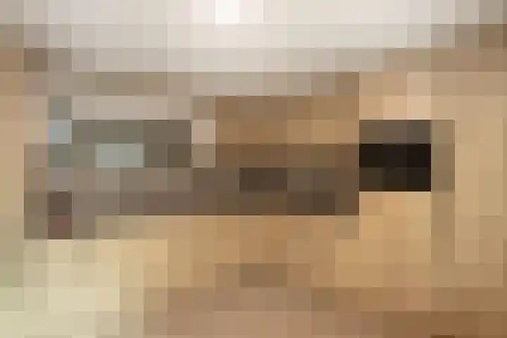 Lokbossen 46 Reusel thumbnail 12