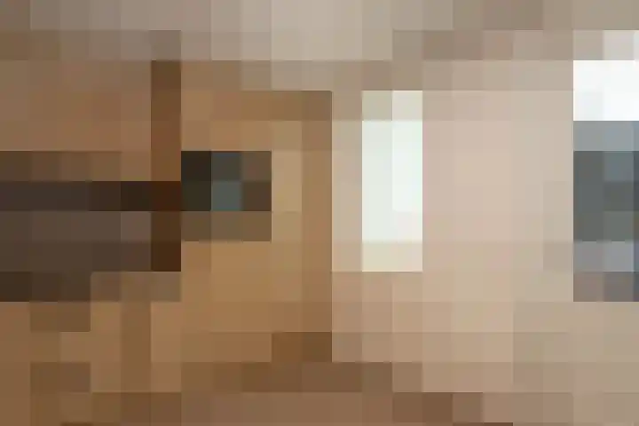 Lokbossen 46 Reusel thumbnail 13