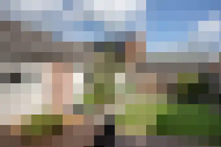 Lokbossen 46 Reusel thumbnail 24