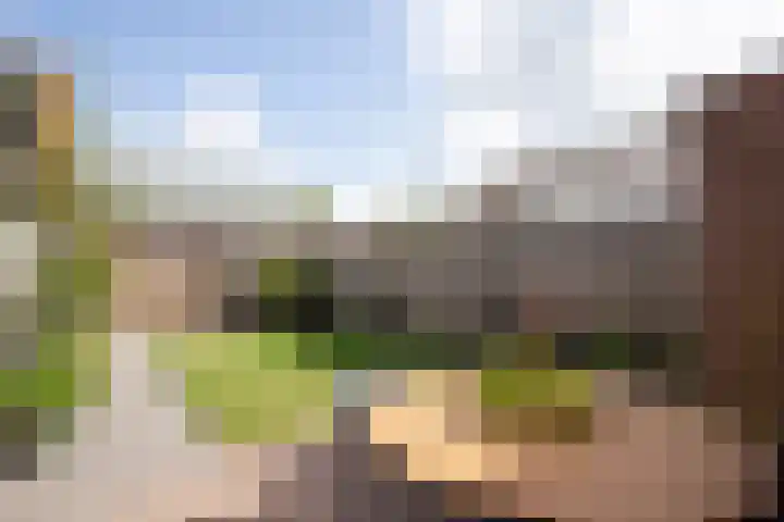 Lokbossen 46 Reusel thumbnail 25