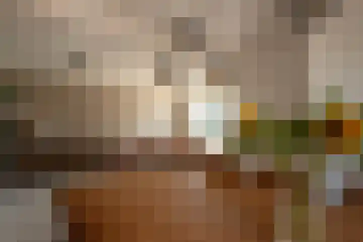 Lokbossen 46 Reusel thumbnail 8