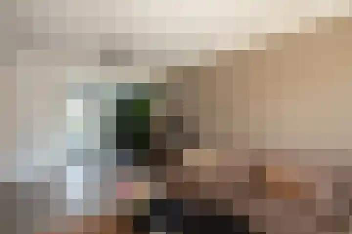 Lokbossen 46 Reusel thumbnail 9