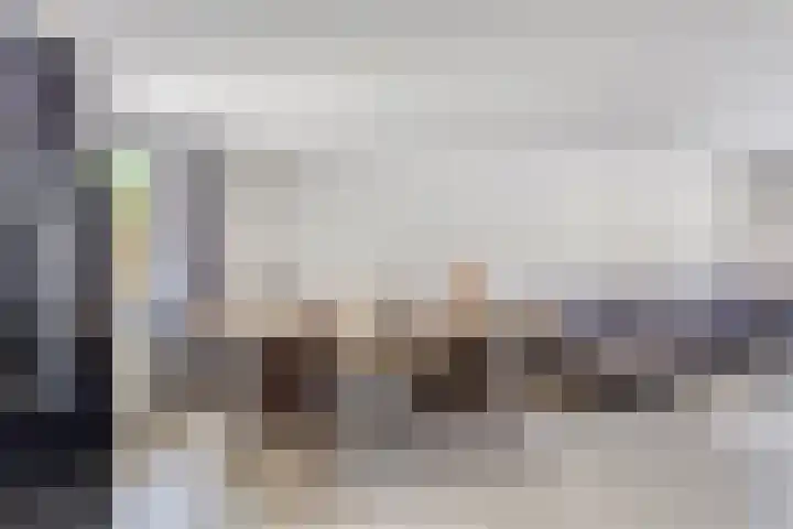 Lokbossen 55 Reusel thumbnail 11