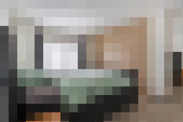 Lokbossen 55 Reusel thumbnail 17
