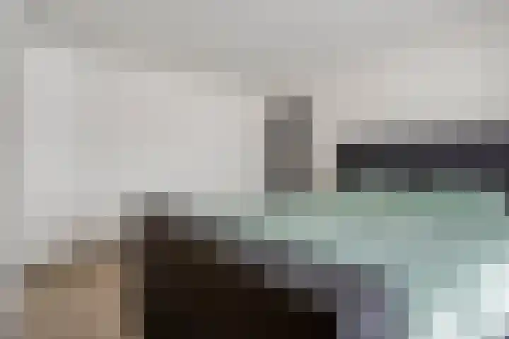 Lokbossen 55 Reusel thumbnail 18