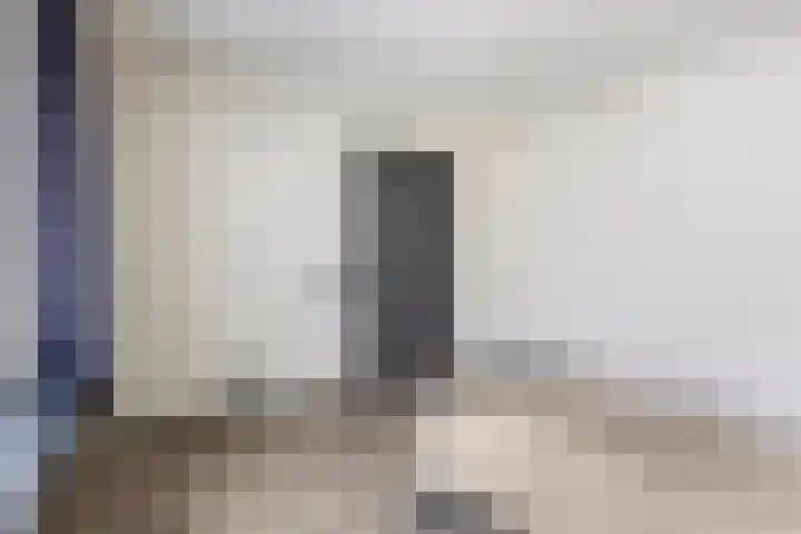 Lokbossen 55 Reusel thumbnail 20