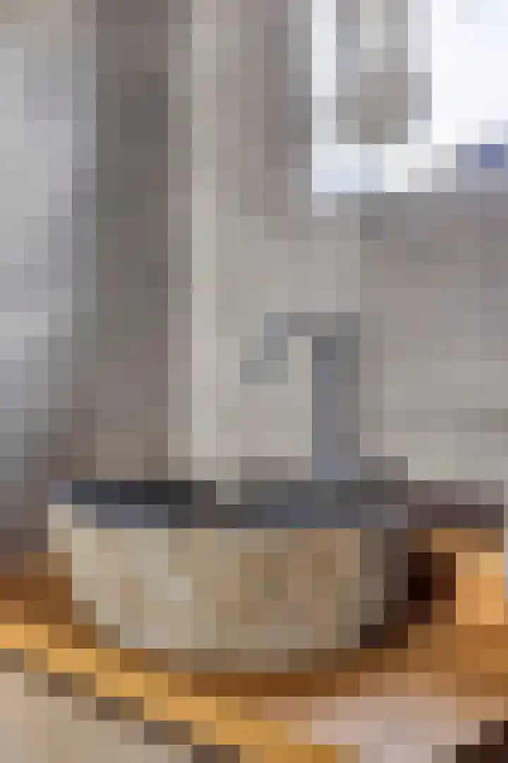 Lokbossen 55 Reusel thumbnail 23