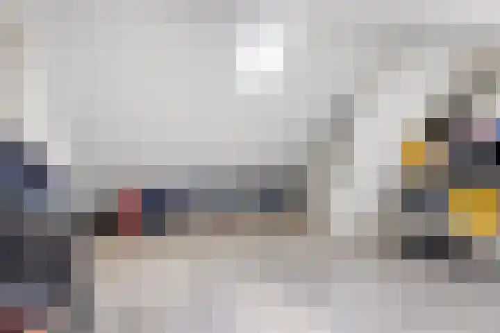 Lokbossen 55 Reusel thumbnail 26