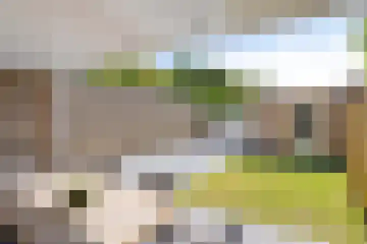 Lokbossen 55 Reusel thumbnail 31