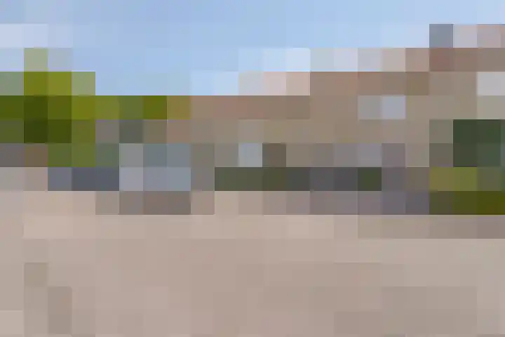 Lokbossen 55 Reusel thumbnail 36