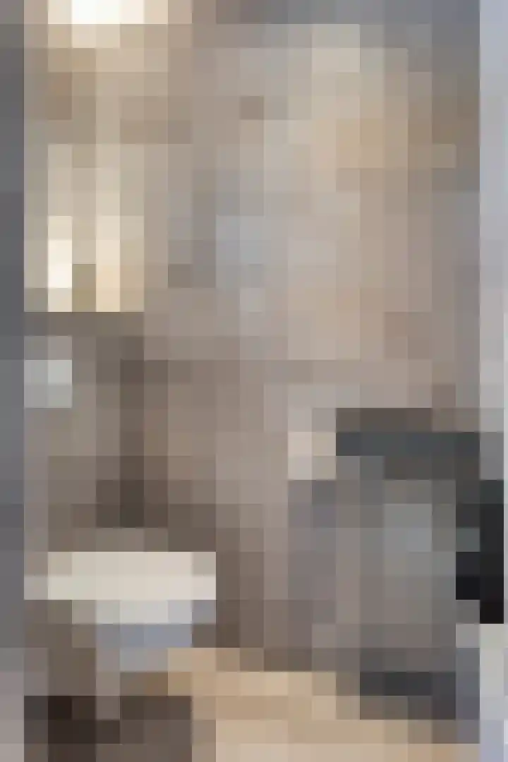 Lokbossen 55 Reusel thumbnail 5