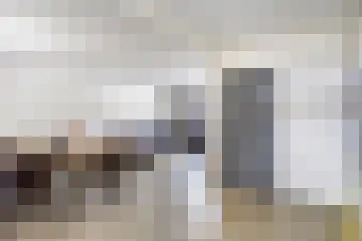 Lokbossen 55 Reusel thumbnail 7