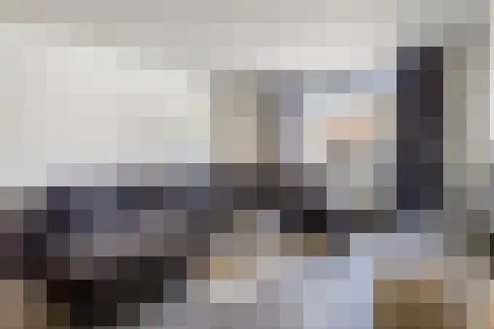 Lokbossen 55 Reusel thumbnail 8