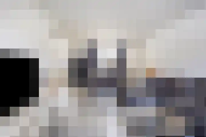 Lokbossen 55 Reusel thumbnail 9