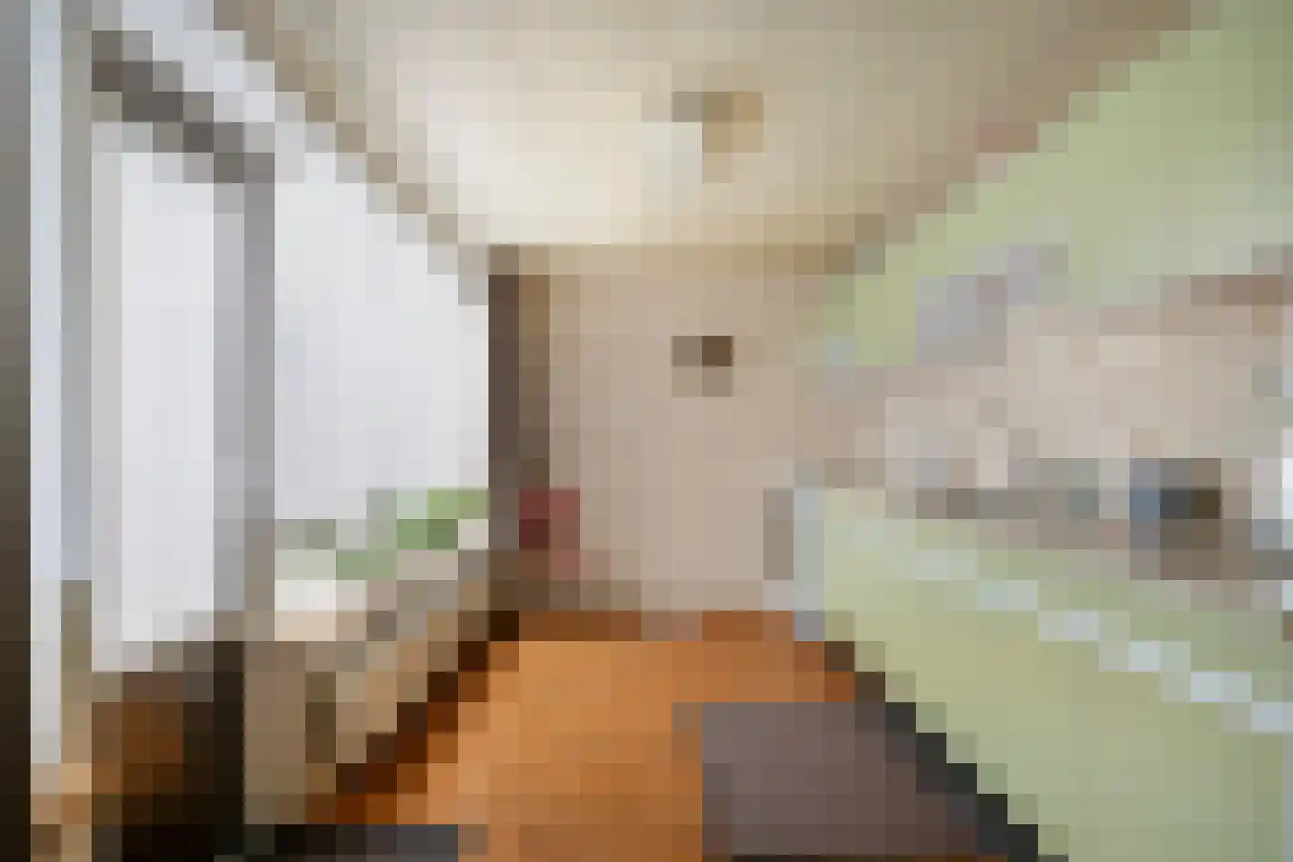Lokbossen 84 Reusel thumbnail 13