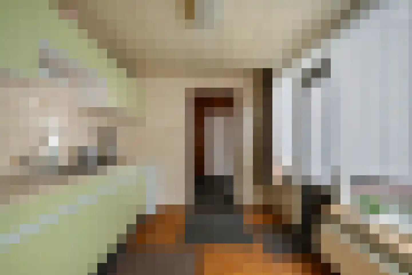 Lokbossen 84 Reusel thumbnail 14
