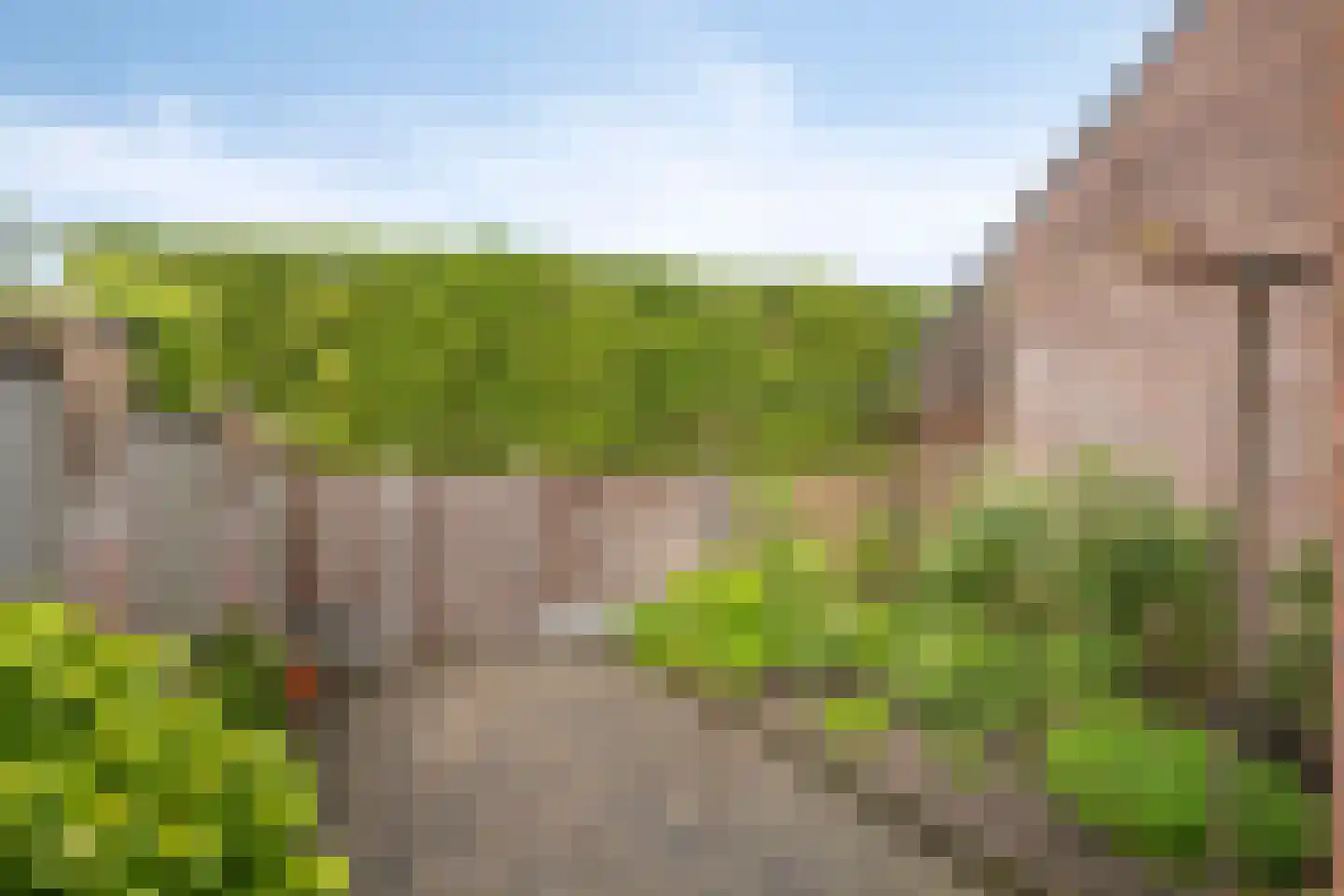 Lokbossen 84 Reusel thumbnail 29