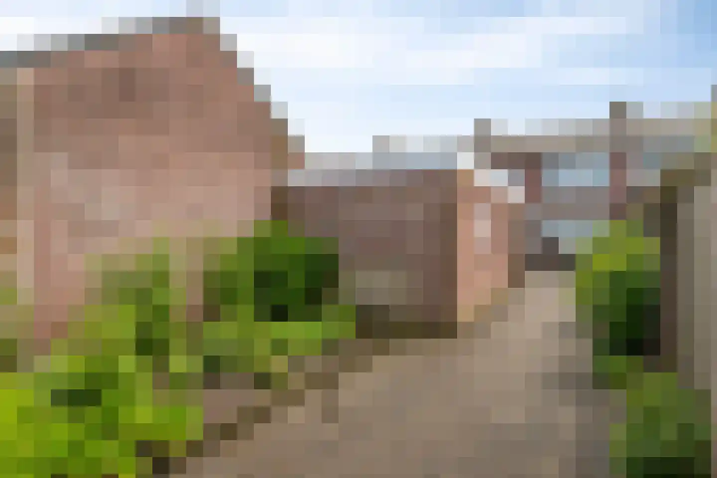 Lokbossen 84 Reusel thumbnail 30