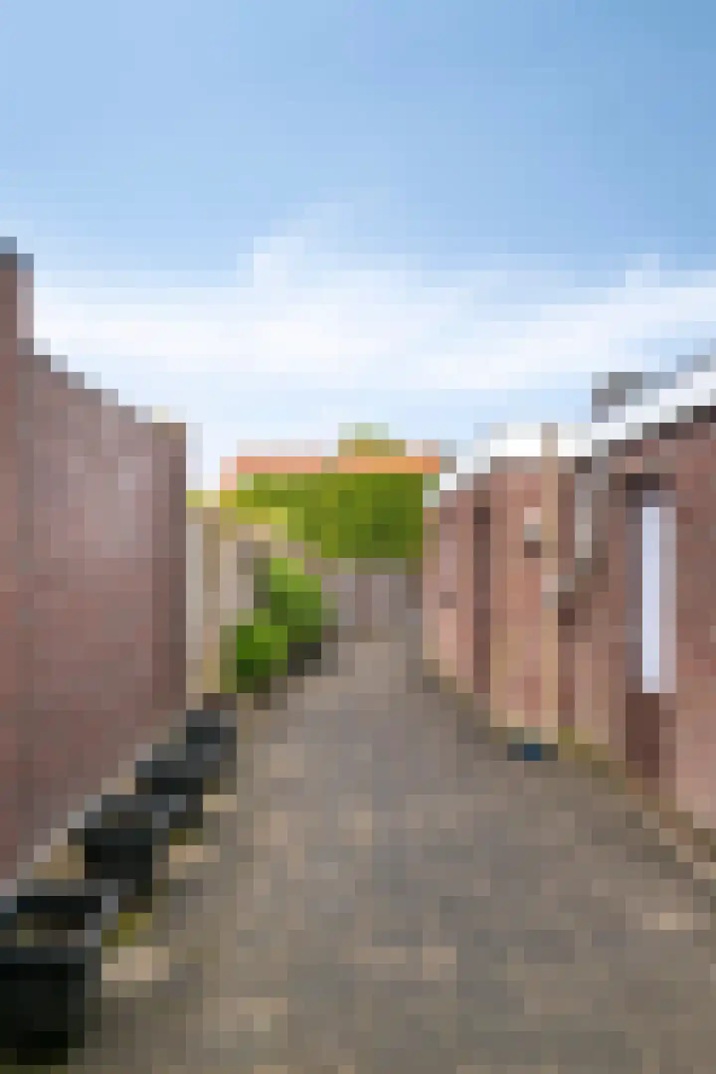 Lokbossen 84 Reusel thumbnail 33