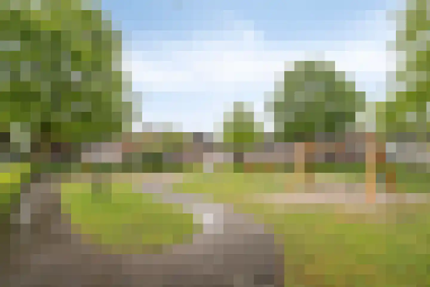 Lokbossen 84 Reusel thumbnail 41