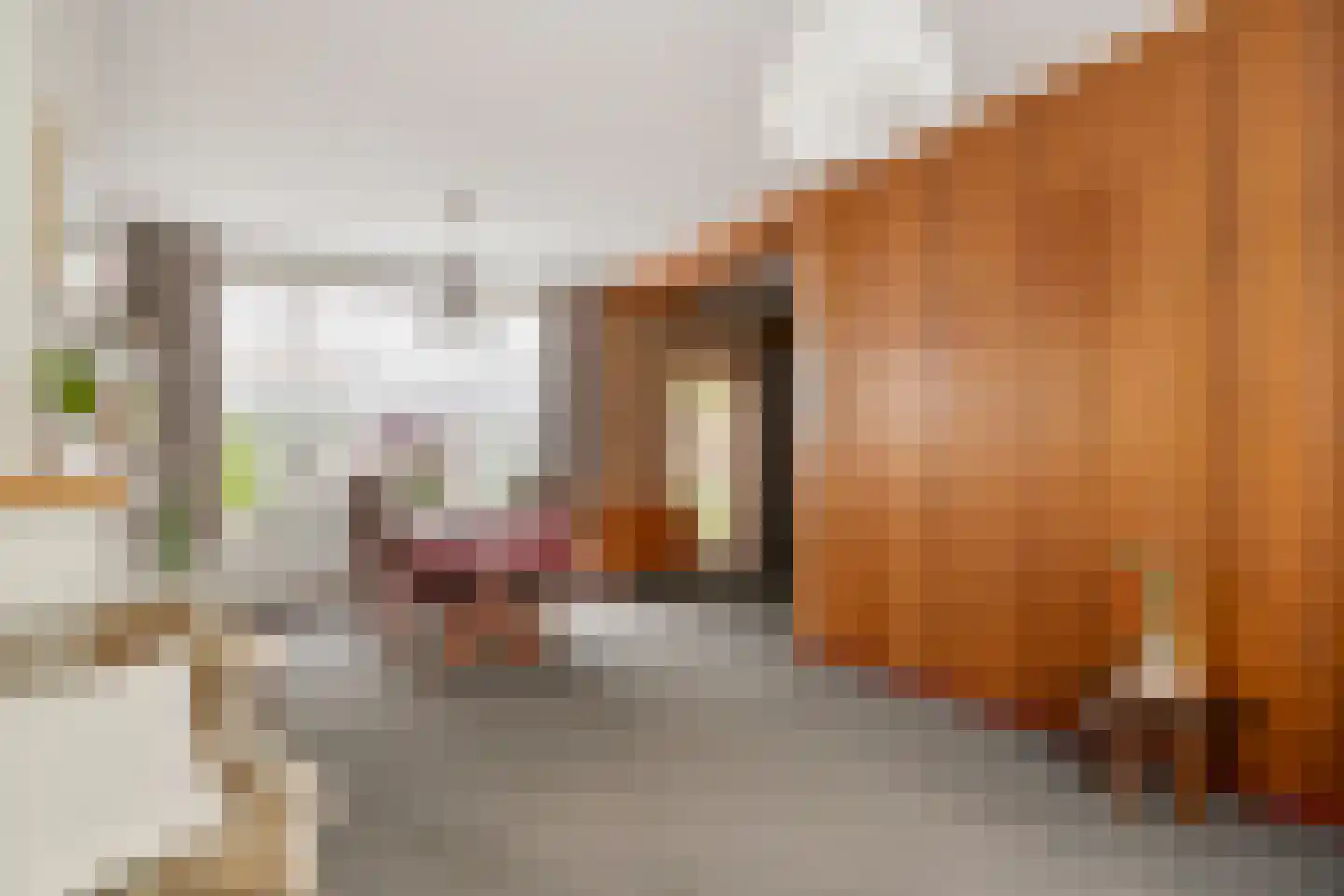 Lokbossen 84 Reusel thumbnail 8