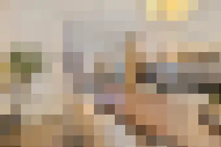 Lokeren 123 's-Hertogenbosch thumbnail 10