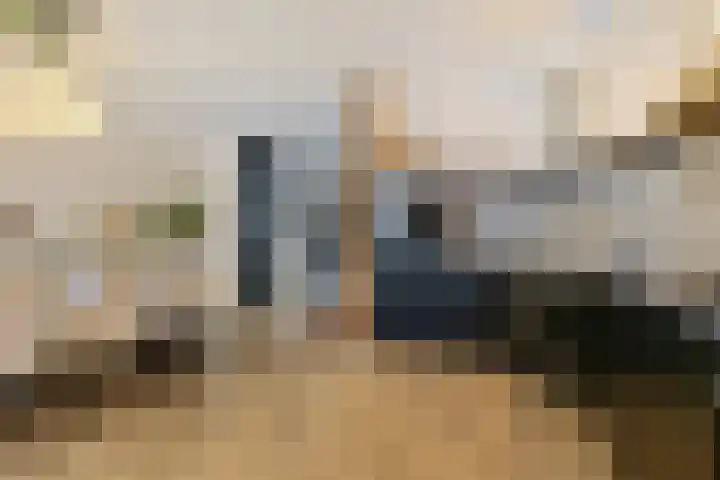 Lokeren 123 's-Hertogenbosch thumbnail 13