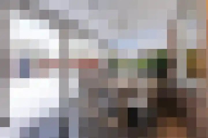 Lokeren 123 's-Hertogenbosch thumbnail 17